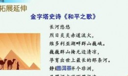 爆料茶叶的视频教程大全